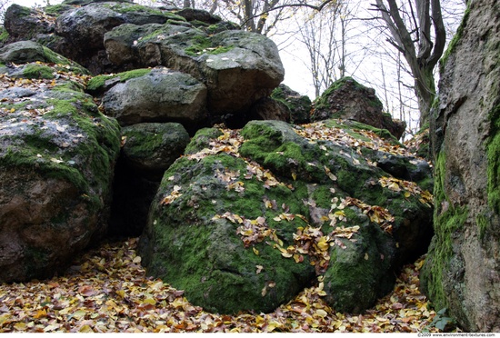 Mossy Rock