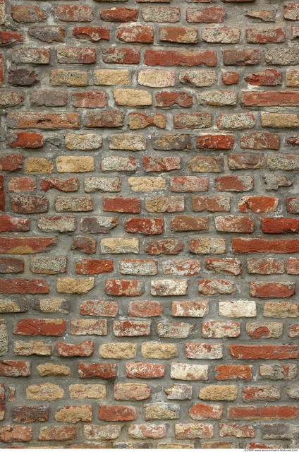 Wall Bricks Damaged