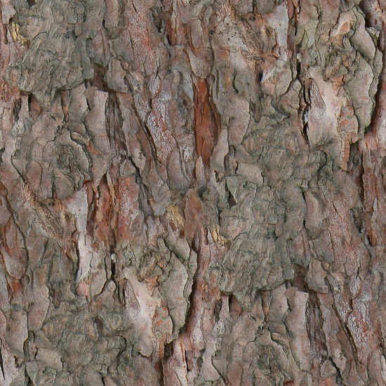 Seamless Tree Bark