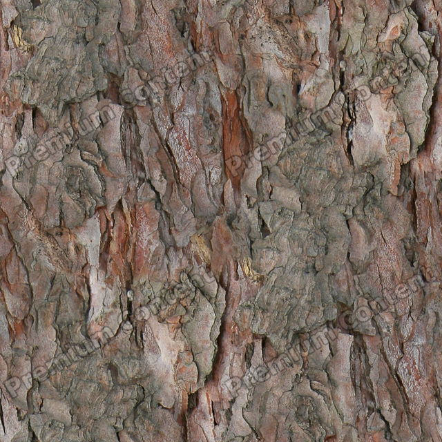 Seamless Tree Bark