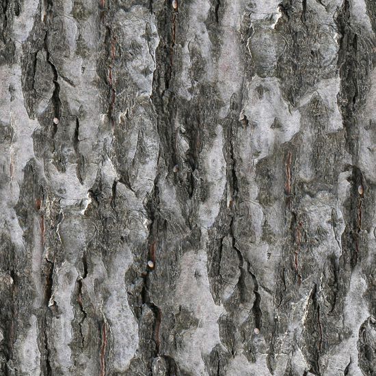 Seamless Tree Bark