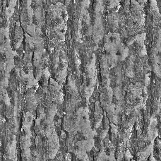 Seamless Tree Bark