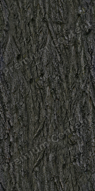 Seamless Tree Bark