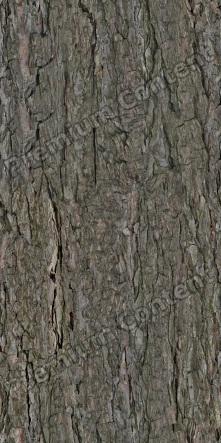 Seamless Tree Bark