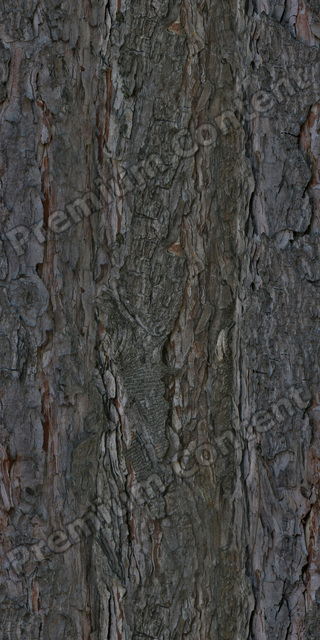 Seamless Tree Bark