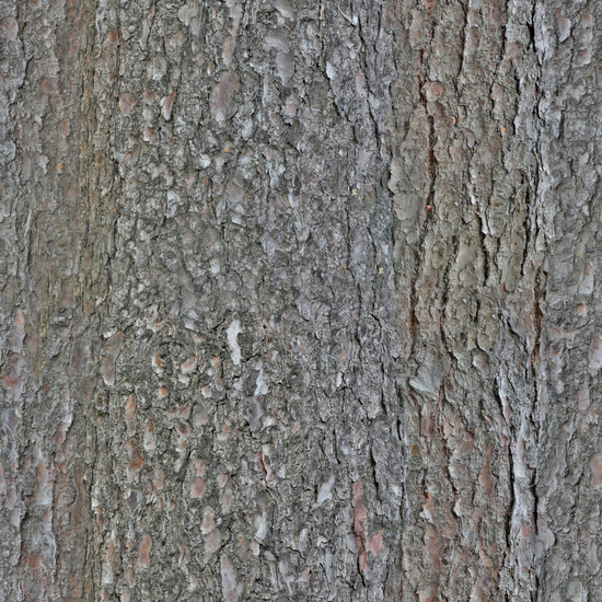 Seamless Tree Bark