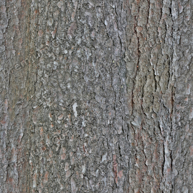 Seamless Tree Bark