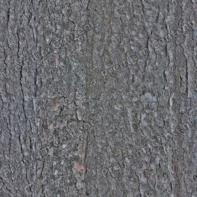 Seamless Tree Bark