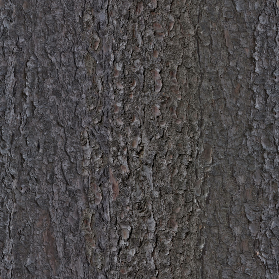 Seamless Tree Bark