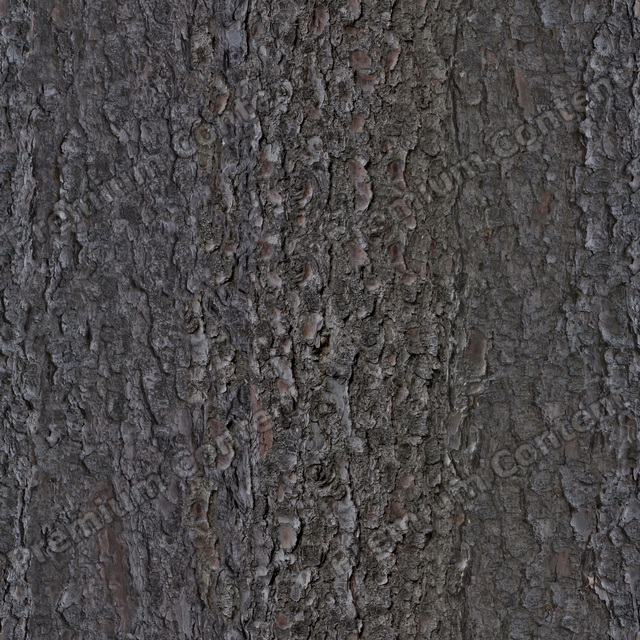 Seamless Tree Bark