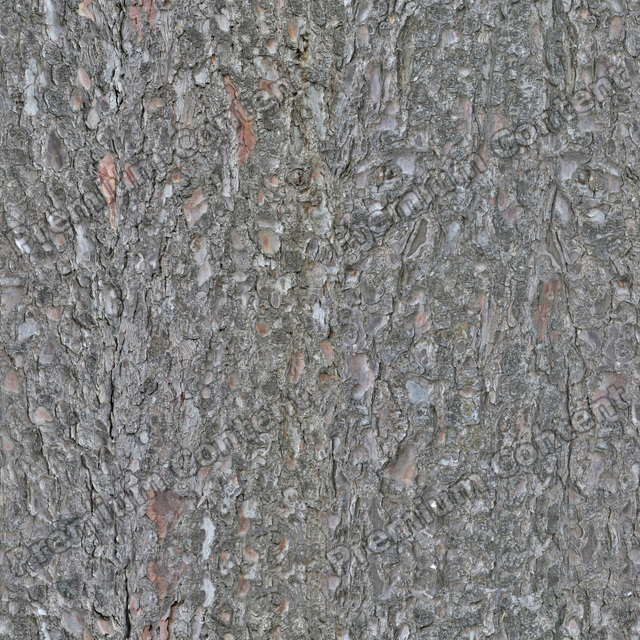 Seamless Tree Bark