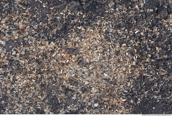 Wood Chips