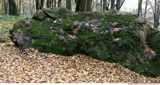 Mossy Rock