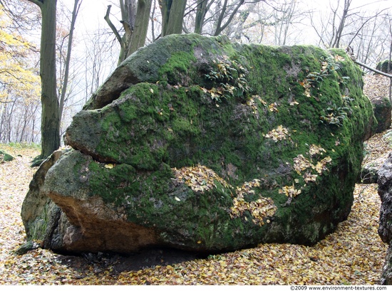 Mossy Rock