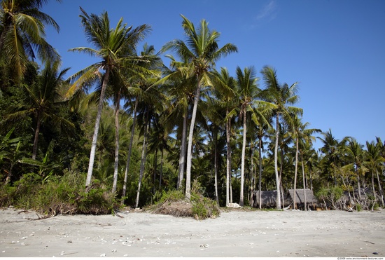 Background Beach