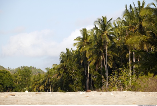 Background Beach