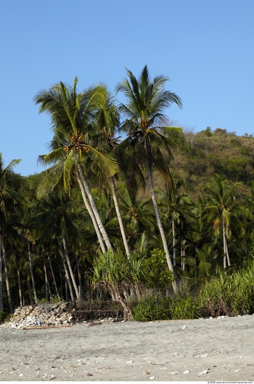 Background Beach