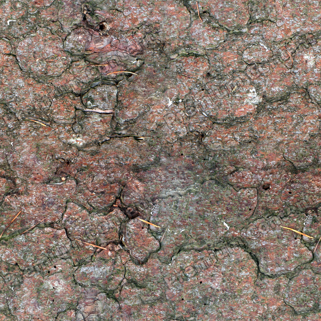 Seamless Tree Bark