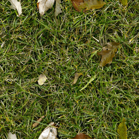 Seamless Grass