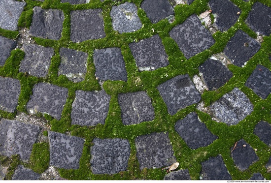 Overgrown Floors