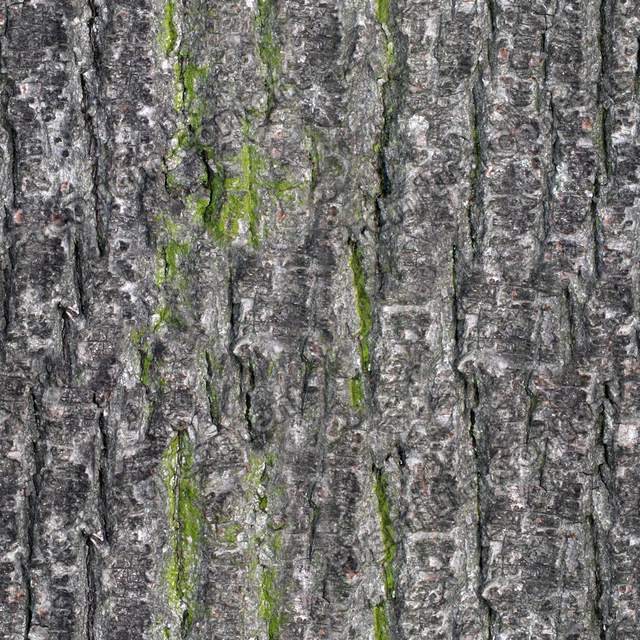 Seamless Tree Bark