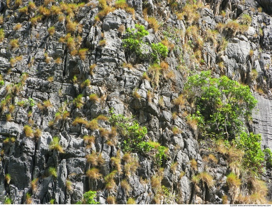 Cliffs Overgrown Rock