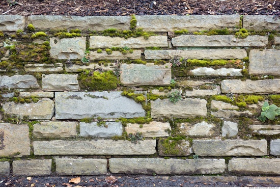 Overgrown Walls Stones