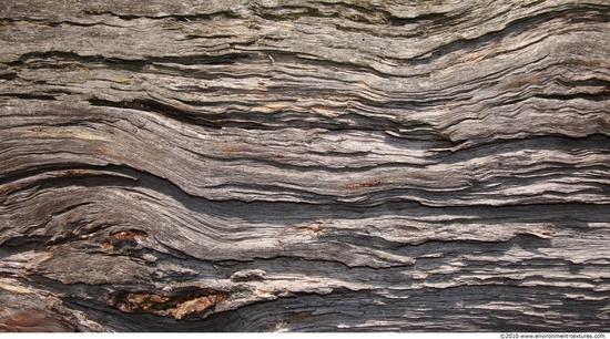 Rough Wood