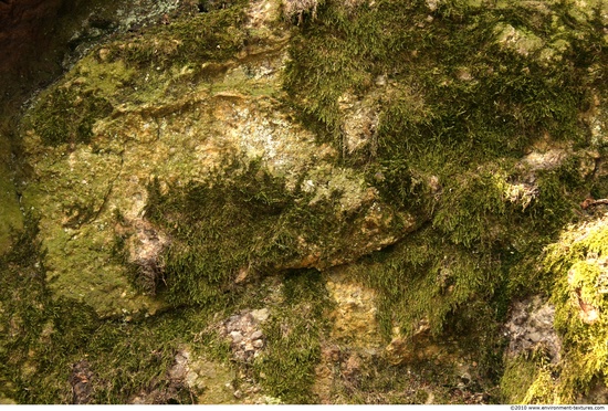 Mossy Rock