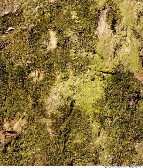 Mossy Rock