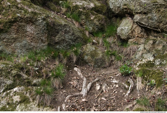 Cliffs Overgrown Rock