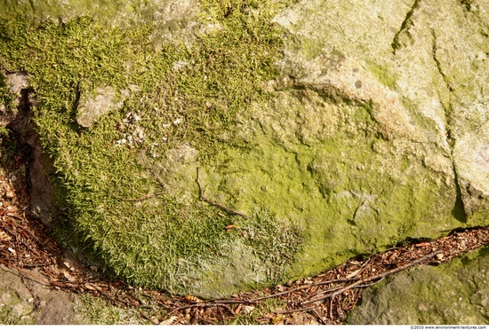 Mossy Rock