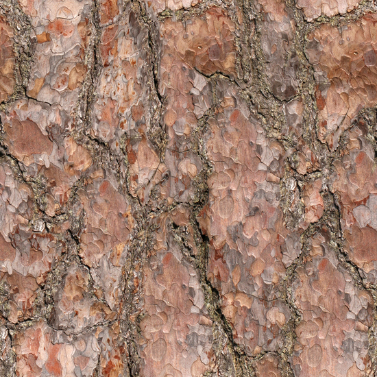 Seamless Tree Bark