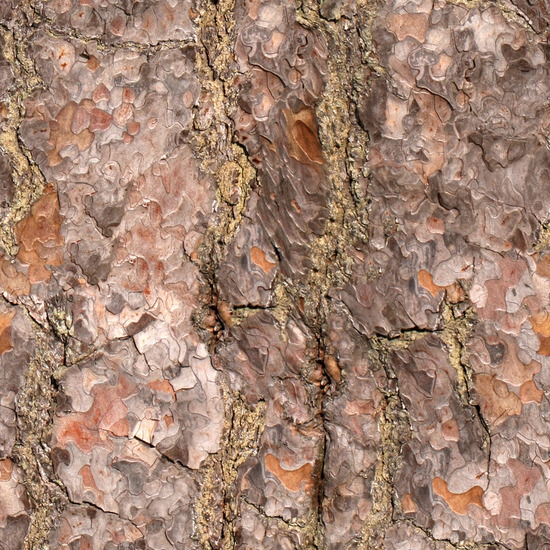 Seamless Tree Bark