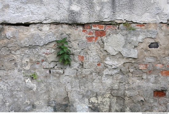 Walls Plaster Damaged