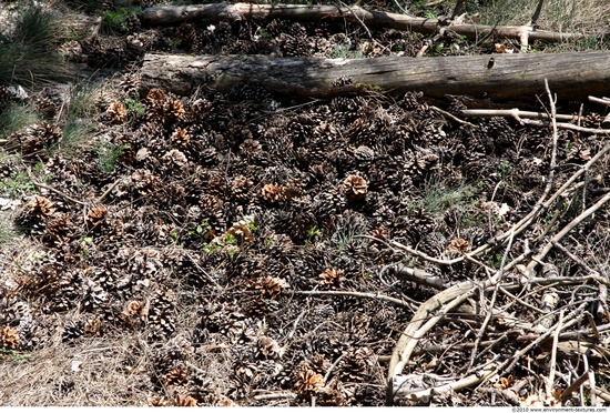 Various Soil