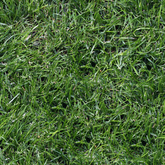 Seamless Grass