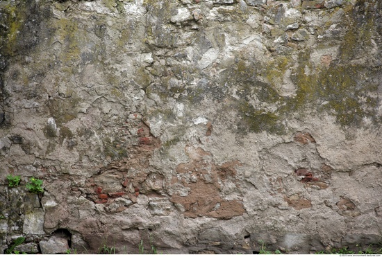 Walls Plaster Damaged