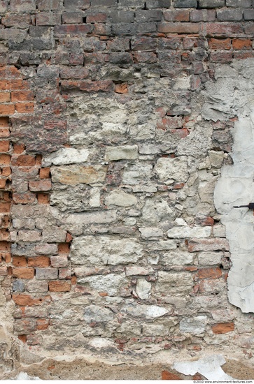 Wall Bricks Plastered