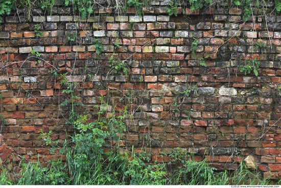 Wall Bricks Damaged