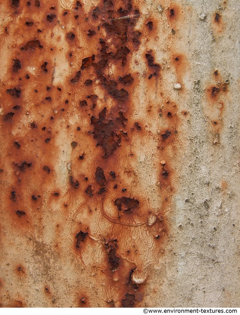 Rusted Paint