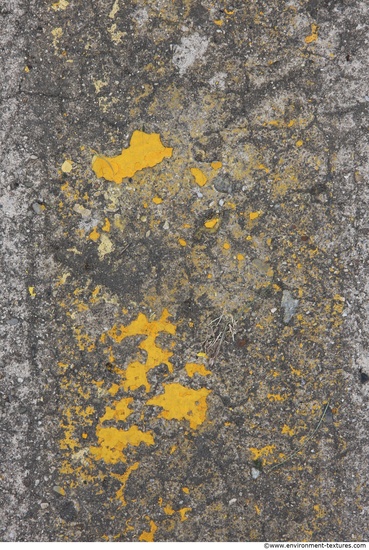 Painted Concrete