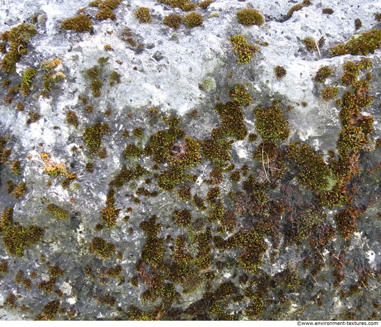 Mossy Rock