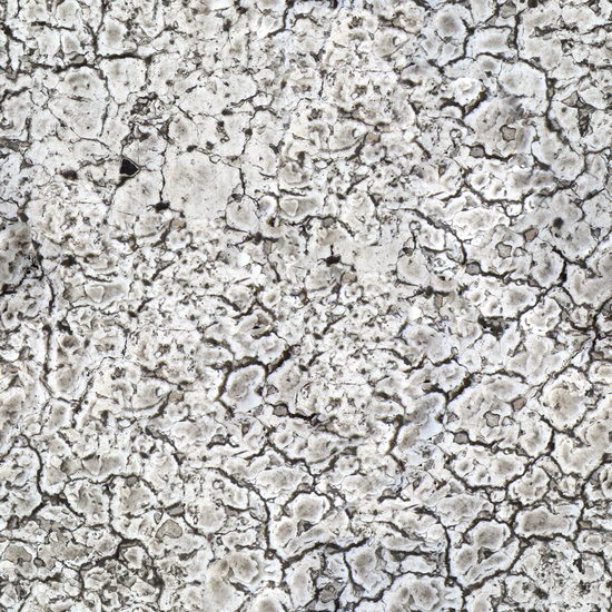 Seamless Concrete