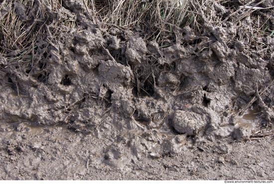 Mud Soil