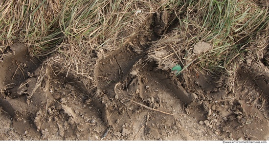 Soil Trace