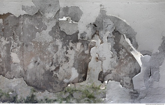 Wall Plaster Paint Peeling