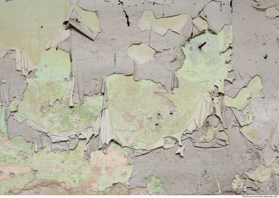 Wall Plaster Paint Peeling