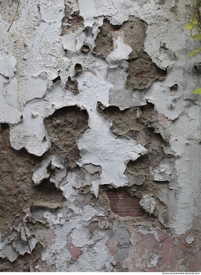 Walls Plaster Damaged