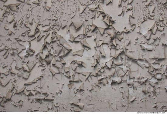 Wall Plaster Paint Peeling